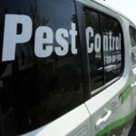 Pest Control Service