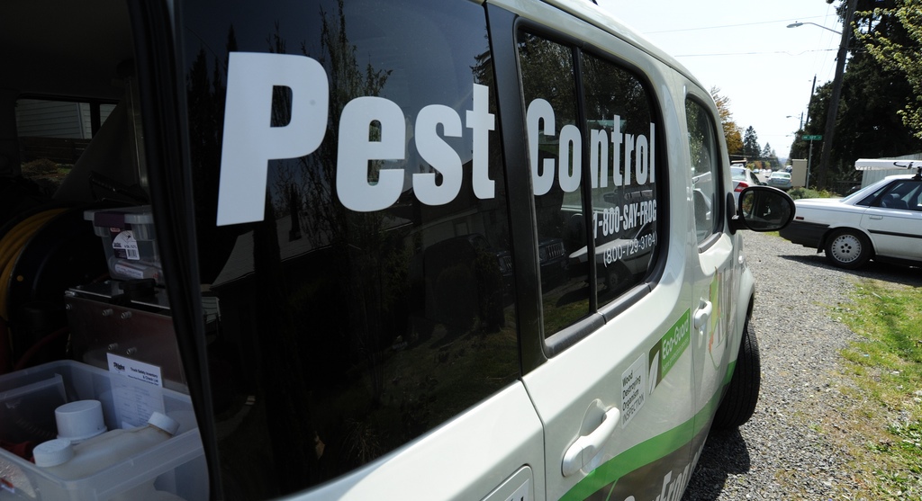 Pest Control Service